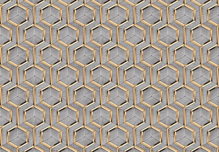 Hexagon fotobehang Grijs/goud