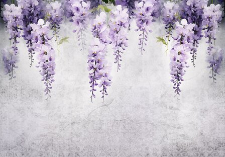 Wisteria fotobehang Paars