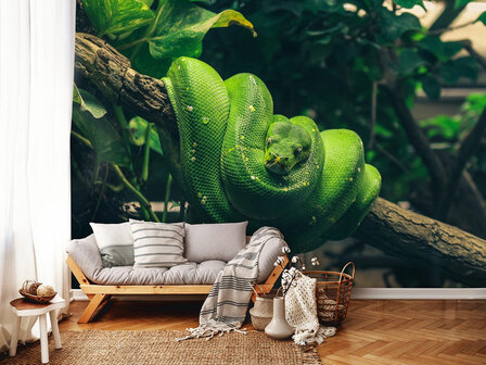 Groene boompython fotobehang