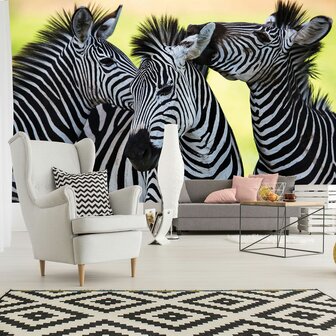 Zebra fotobehang kleur