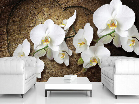 Orchidee op hout Bloemen fotobehang 