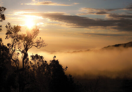 Misty Sun fotobehang