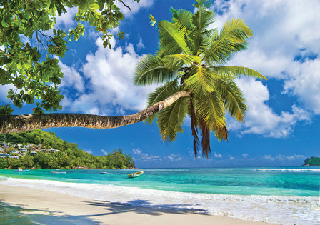 Tropical Beach fotobehang