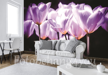 tulpen behang paars