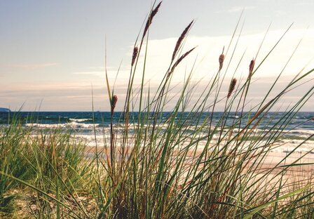 Strand helm fotobehang