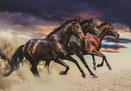 Paarden fotobehang bruin