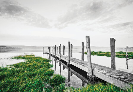 Loopsteiger fotobehang groen