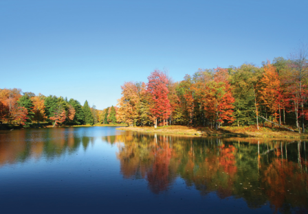 Meer herfstbos fotobehang