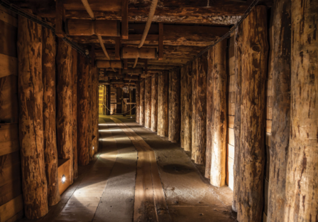 Houten Tunnel fotobehang 3D