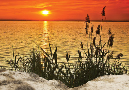 Zonsondergang fotobehang gras