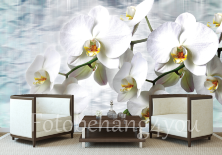 Orchideen behang