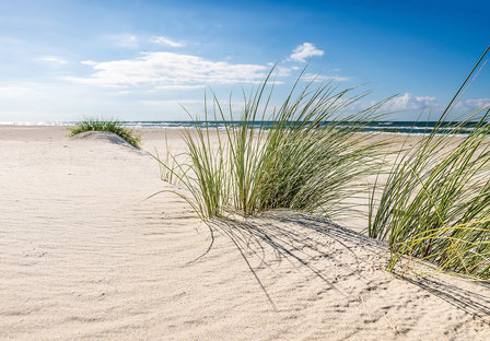 Strand helmgras fotobehang