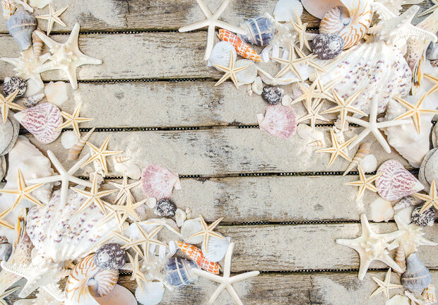 Strand plank en schelpen fotobehang