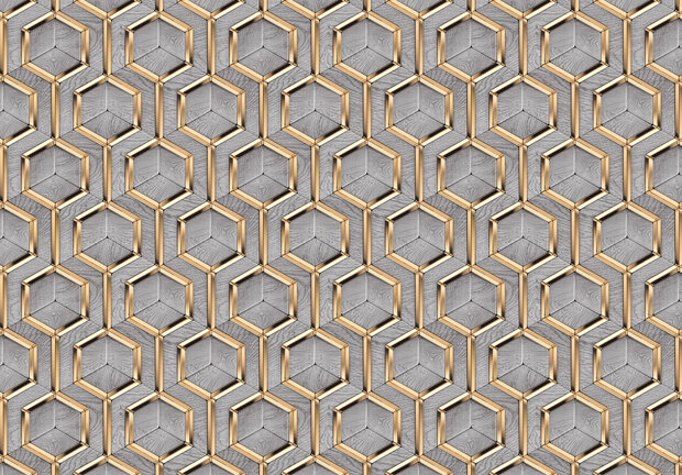 Hexagon fotobehang Grijs/goud