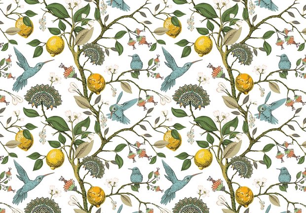 Lemon and Birds fotobehang