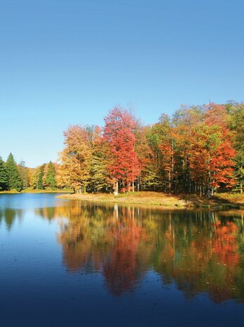 Meer Herfstbos fotobehang