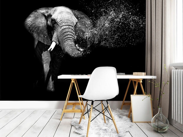 Olifant fotobehang zwart-wit