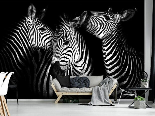 Zebra fotobehang zwart