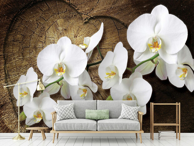 Orchidee op hout Bloemen fotobehang 