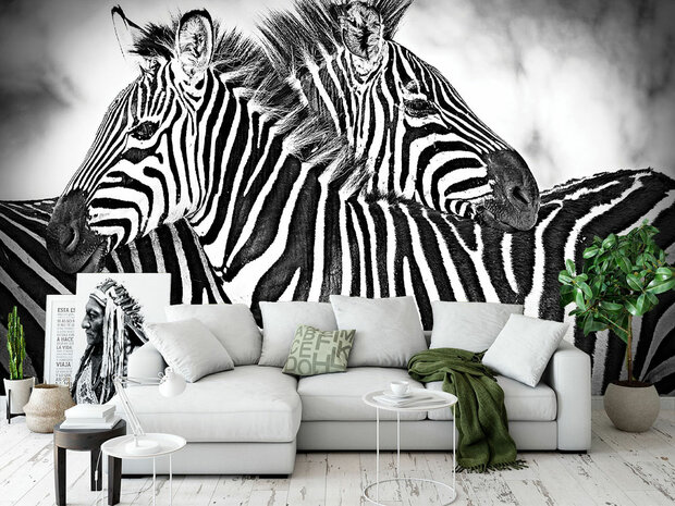 Zebra fotobehang