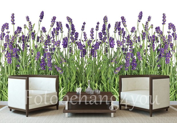 Lavendel behang