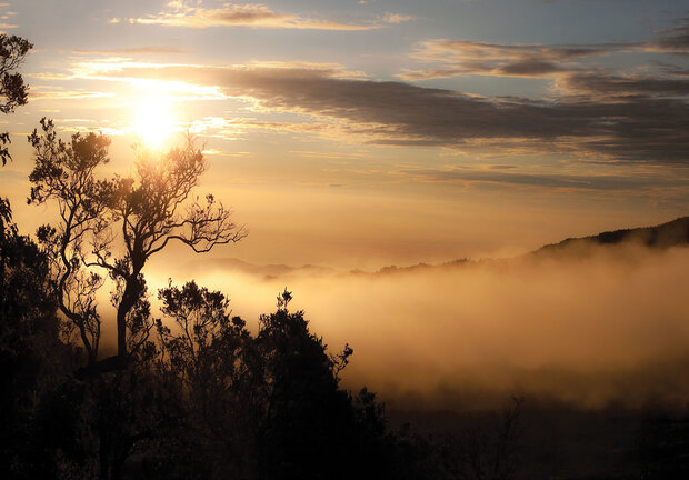 Misty Sun fotobehang