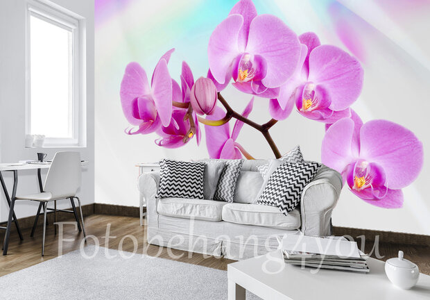 Roze orchidee behang