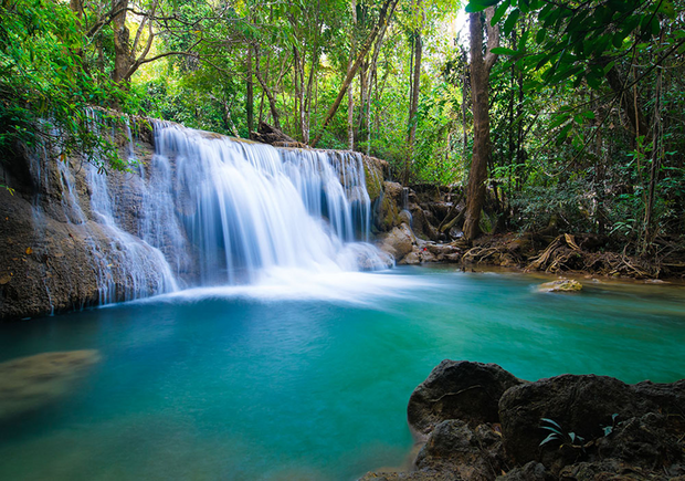 Waterval bos fotobehang