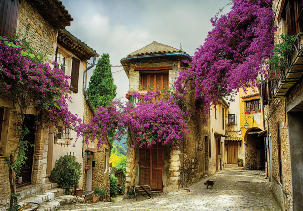 Provence fotobehang